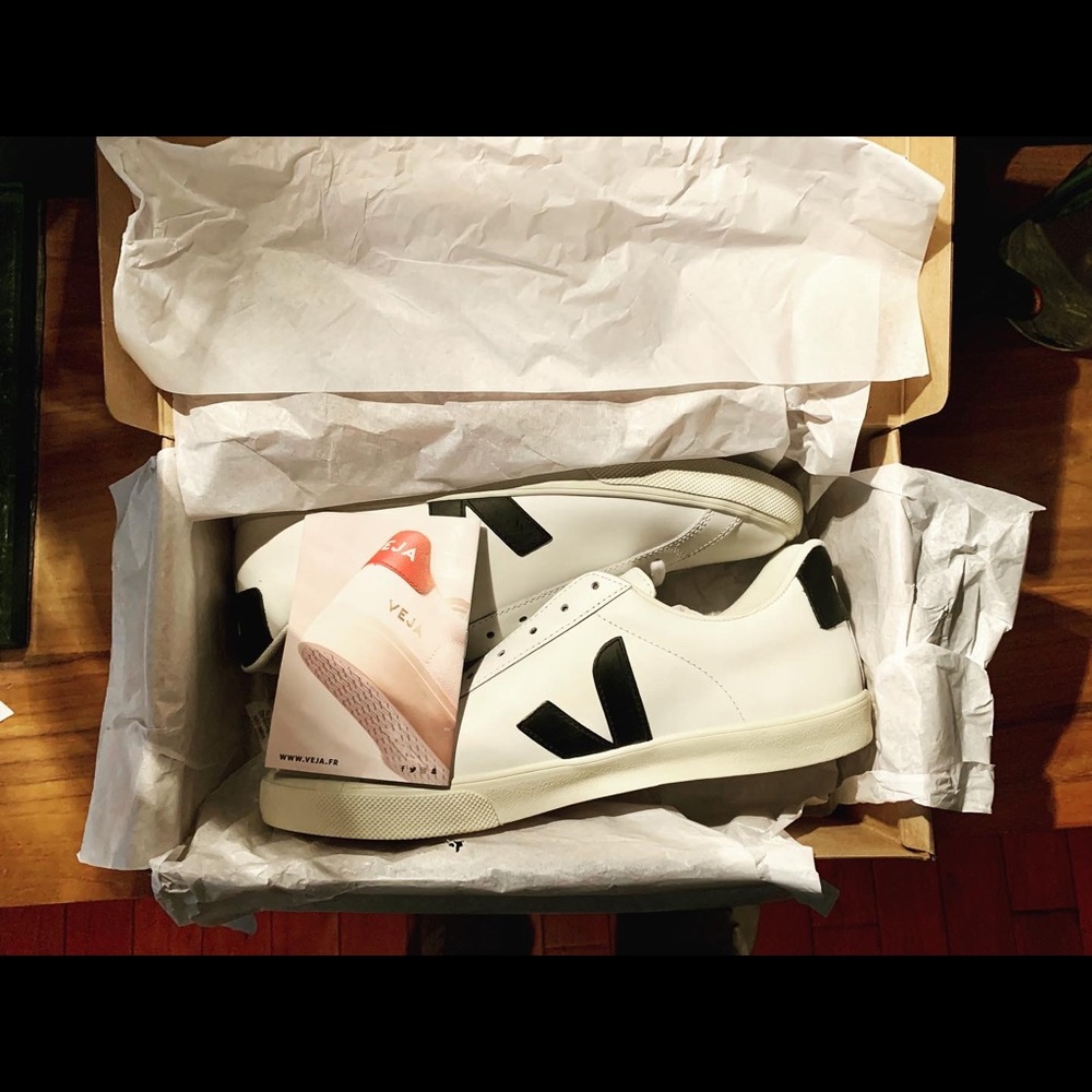 Veja sneakers